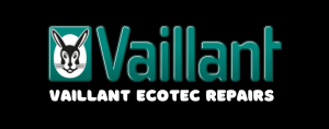 f.61 fault code 17 vaillant logo 6 Boiler breakdown